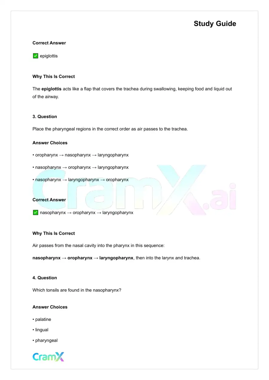 Anatomy and Physiology - The Respiratory System, page 2