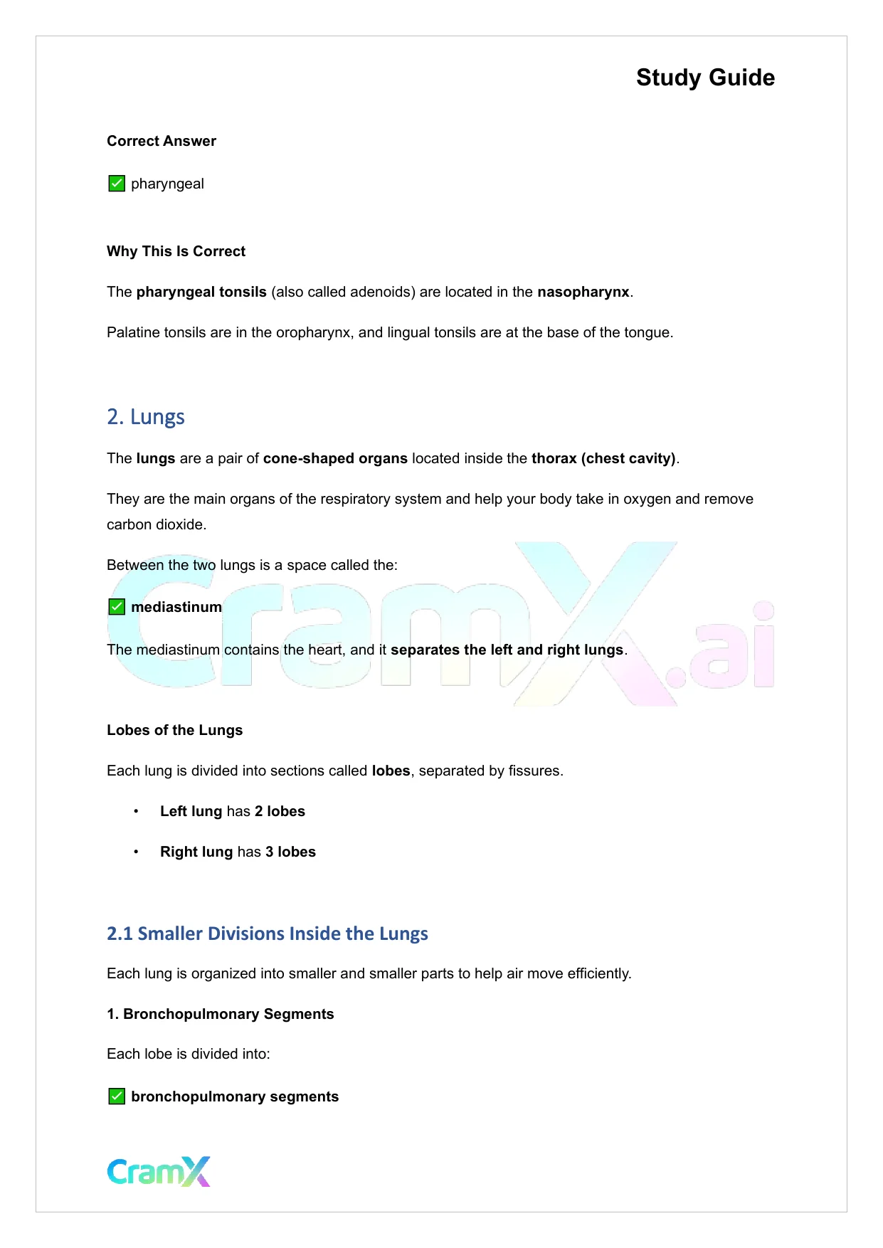 Anatomy and Physiology - The Respiratory System - Page 3 preview image