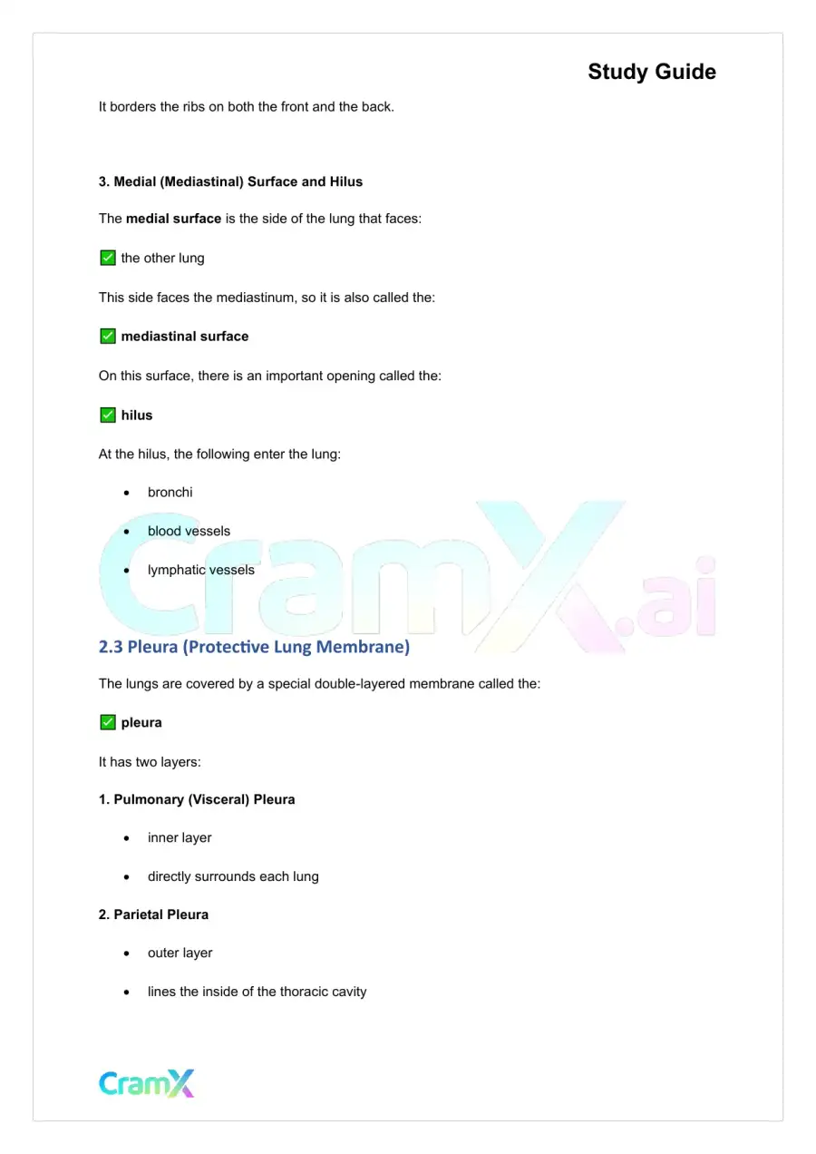 Anatomy and Physiology - The Respiratory System, page 5