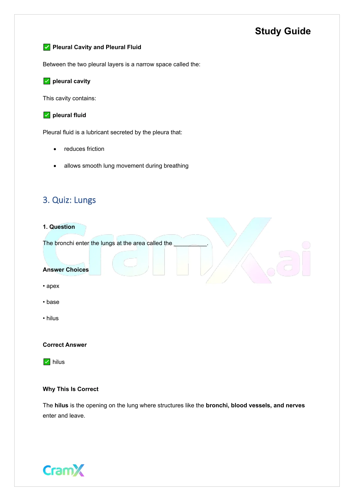 Anatomy and Physiology - The Respiratory System - Page 6 preview image