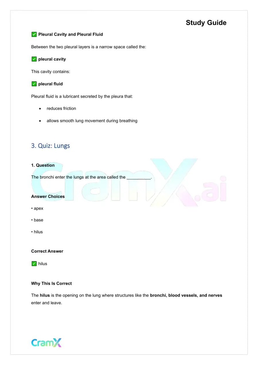 Anatomy and Physiology - The Respiratory System, page 6