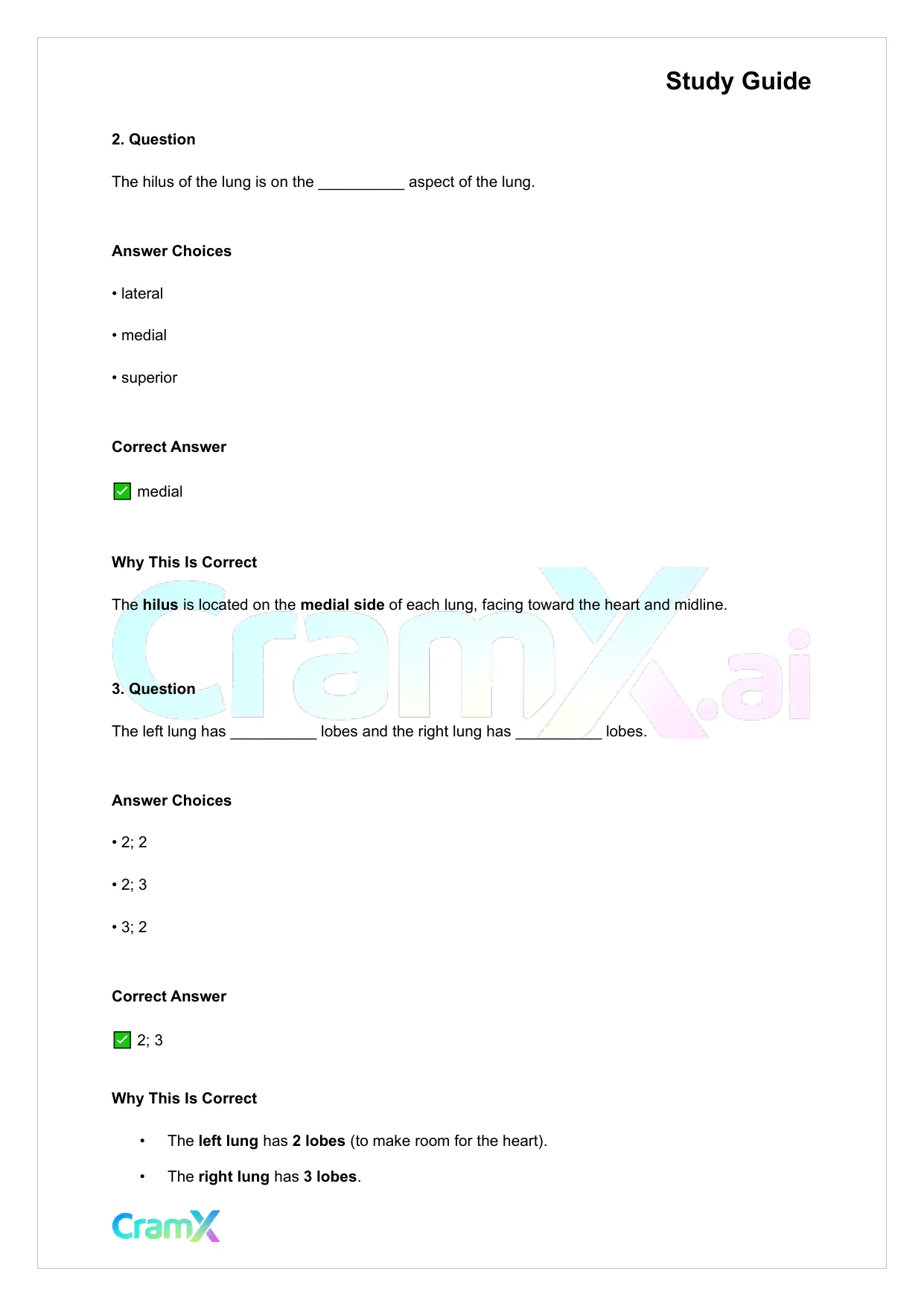 Anatomy and Physiology - The Respiratory System - Page 7 preview image