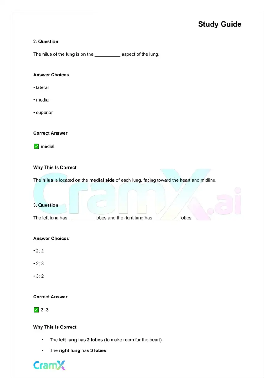 Anatomy and Physiology - The Respiratory System, page 7