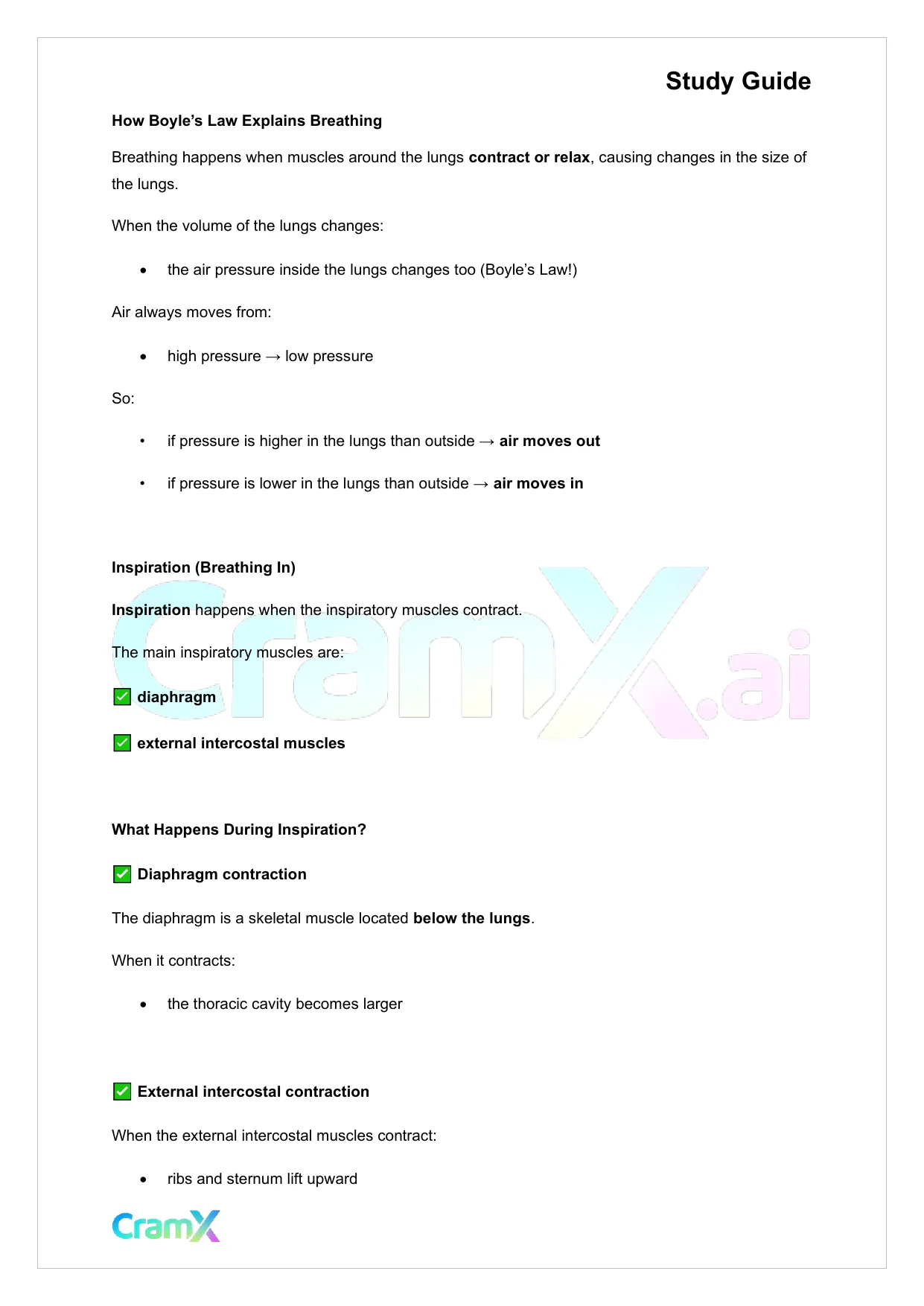 Anatomy and Physiology - The Respiratory System - Page 9 preview image