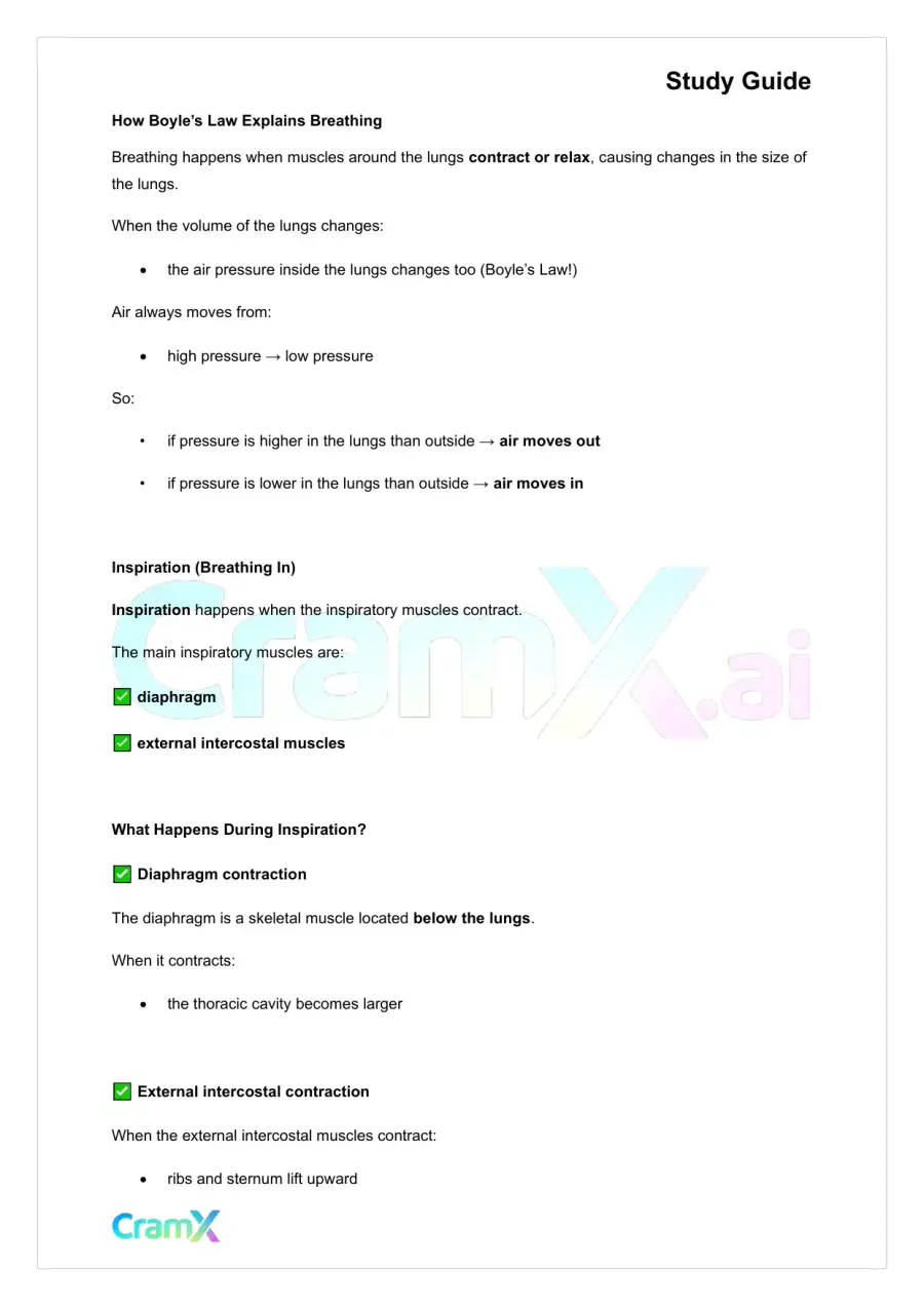 Anatomy and Physiology - The Respiratory System, page 9