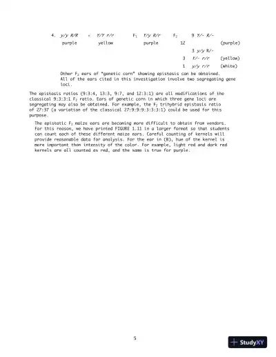 Solution Manual for Genetics Laboratory Investigations, 14th Edition - Page 10 preview image