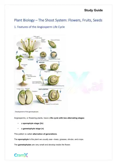 Plant Biology - The Shoot System Flowers, Fruits, Seeds - Page 1 preview image
