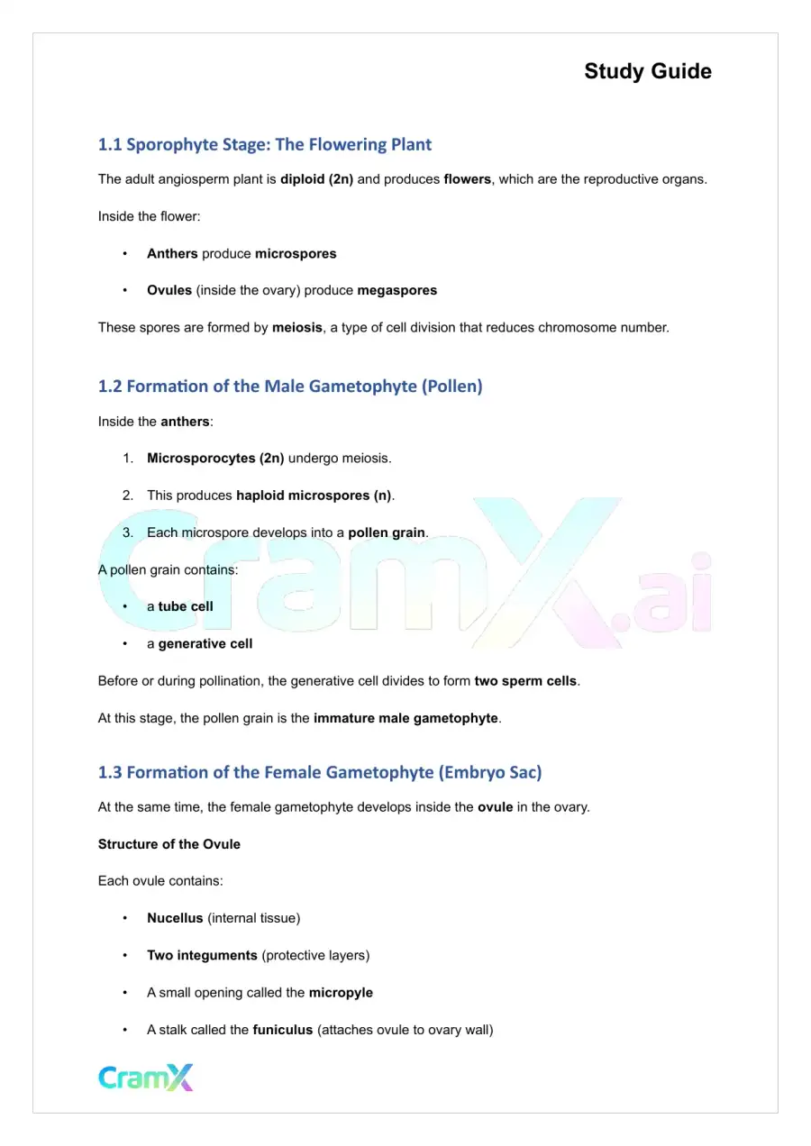 Plant Biology - The Shoot System Flowers, Fruits, Seeds, page 2