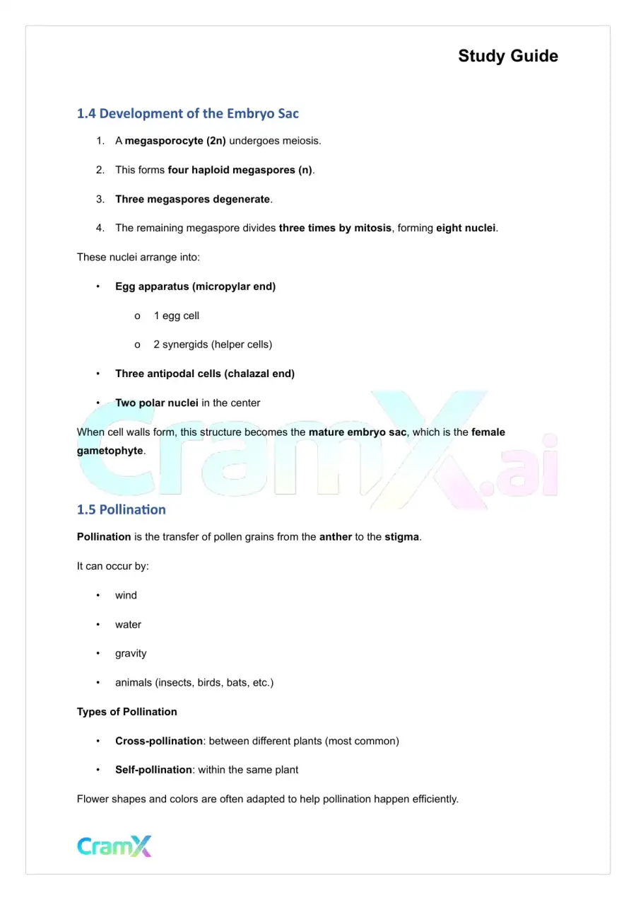 Plant Biology - The Shoot System Flowers, Fruits, Seeds, page 3