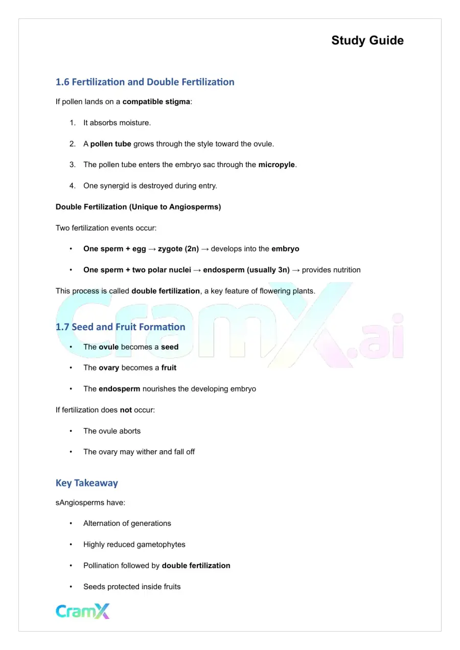 Plant Biology - The Shoot System Flowers, Fruits, Seeds, page 4