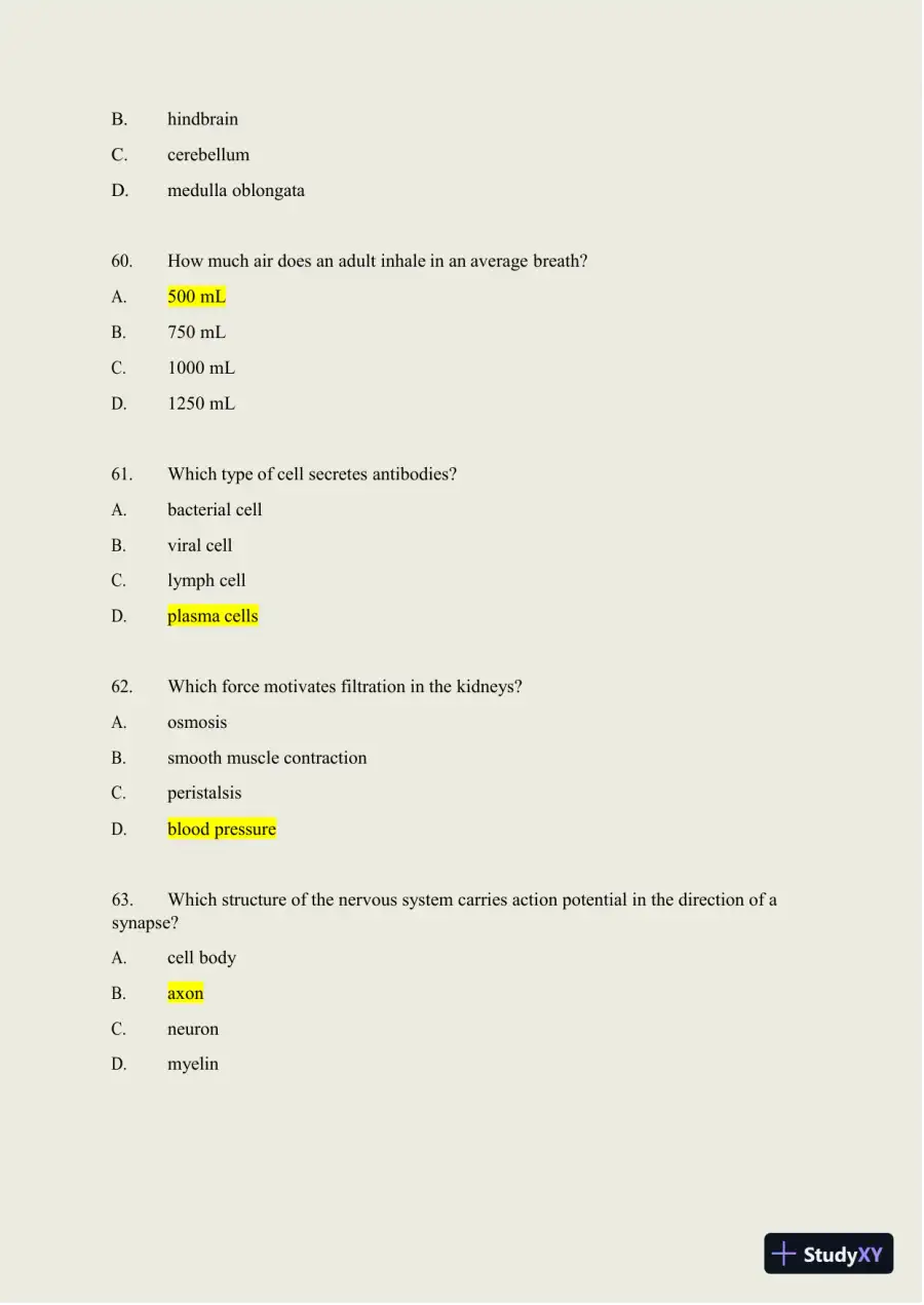 2024-2025 HESI A2 Anatomy and Physiology Practice Exam with Answers (588 Solved Questions), page 21