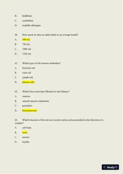 2024-2025 HESI A2 Anatomy and Physiology Practice Exam with Answers (588 Solved Questions) - Page 21 preview image