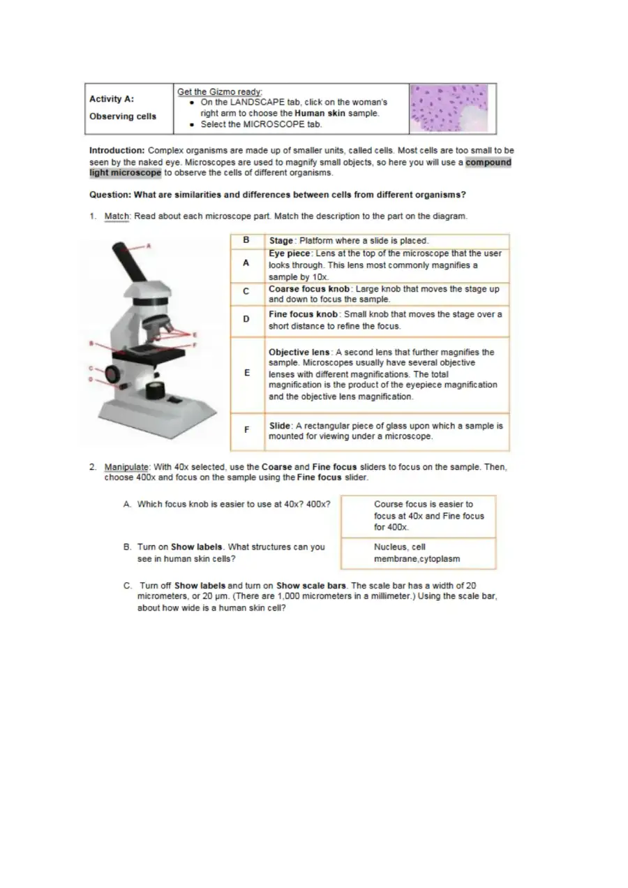 526163449 Cell Types SE Gizmos, page 2