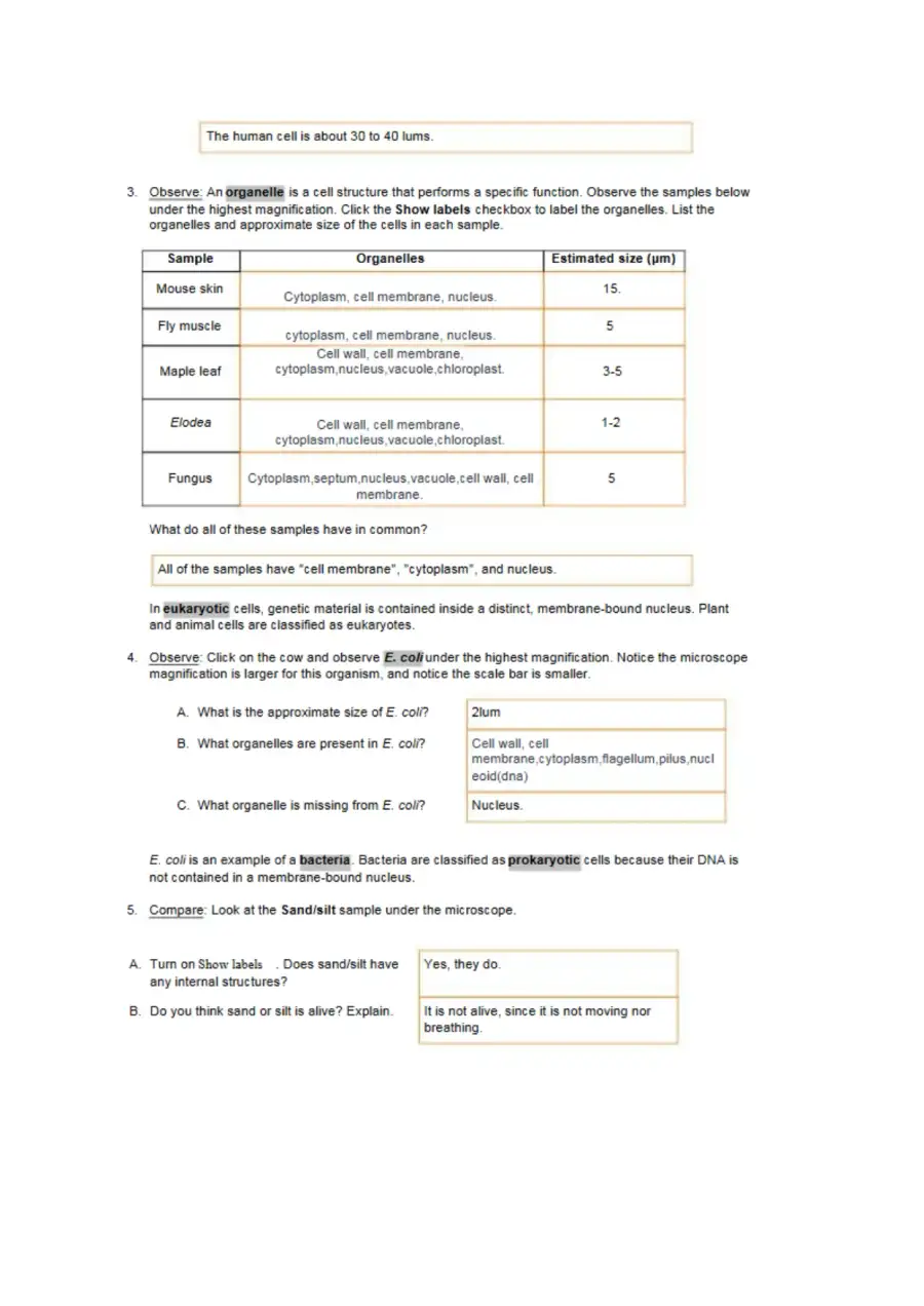 526163449 Cell Types SE Gizmos, page 3