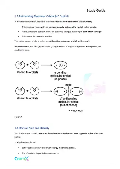 Organic Chemistry I - Structure of Organic Molecules - Page 2 preview image