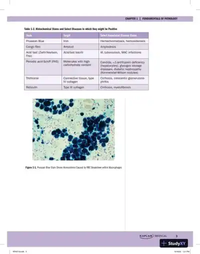Preclinical Pathology Review 2023: For USMLE Step 1 and COMLEX-USA Level 1 (2023) - Page 11 preview image
