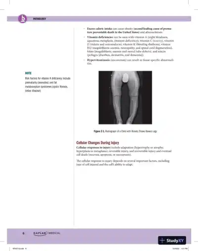 Preclinical Pathology Review 2023: For USMLE Step 1 and COMLEX-USA Level 1 (2023) - Page 14 preview image