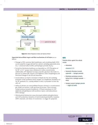 Preclinical Pathology Review 2023: For USMLE Step 1 and COMLEX-USA Level 1 (2023) - Page 15 preview image