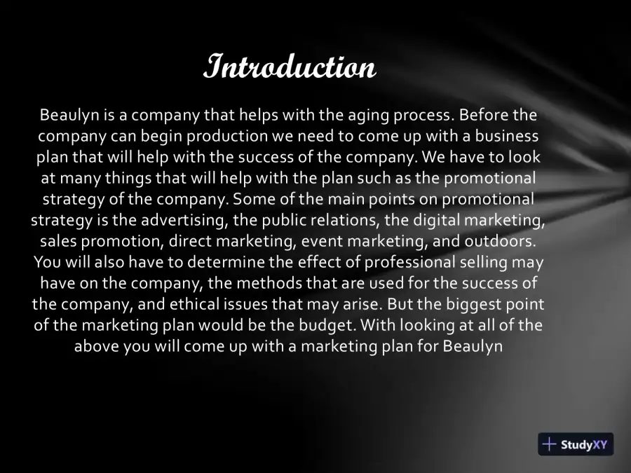 MKT/421 Beaulyn Cosmetic (Marketing Plan), page 3