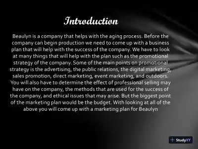 MKT/421 Beaulyn Cosmetic (Marketing Plan) - Page 3 preview image