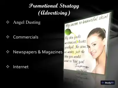 MKT/421 Beaulyn Cosmetic (Marketing Plan) - Page 4 preview image