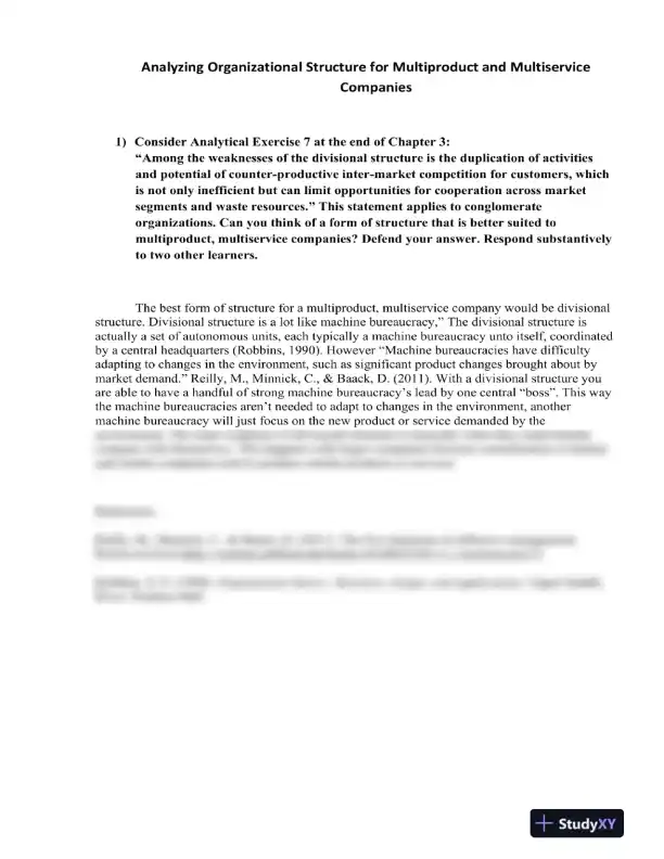Analyzing Organizational Structure for Multiproduct and Multiservice Companies - Page 1 preview image