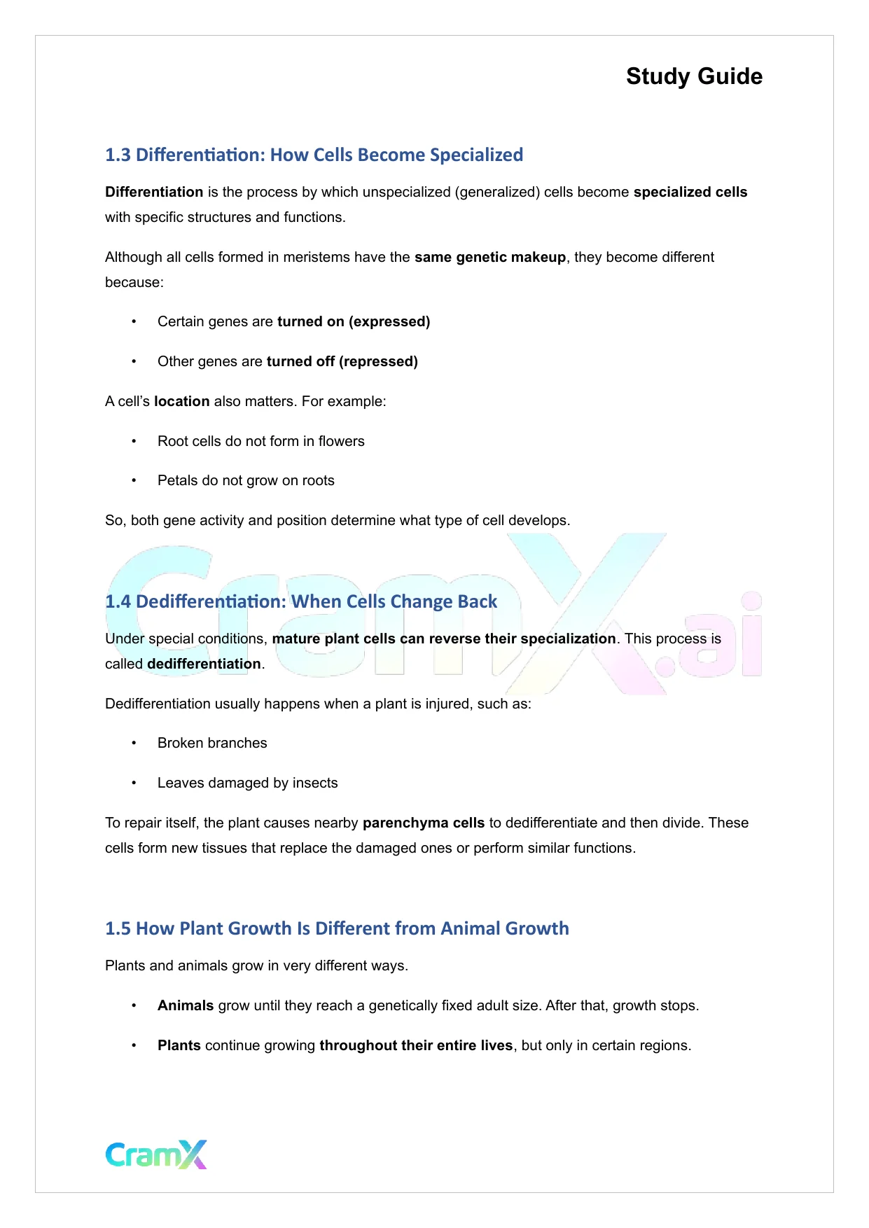 Plant Biology - Tissues - Page 2 preview image