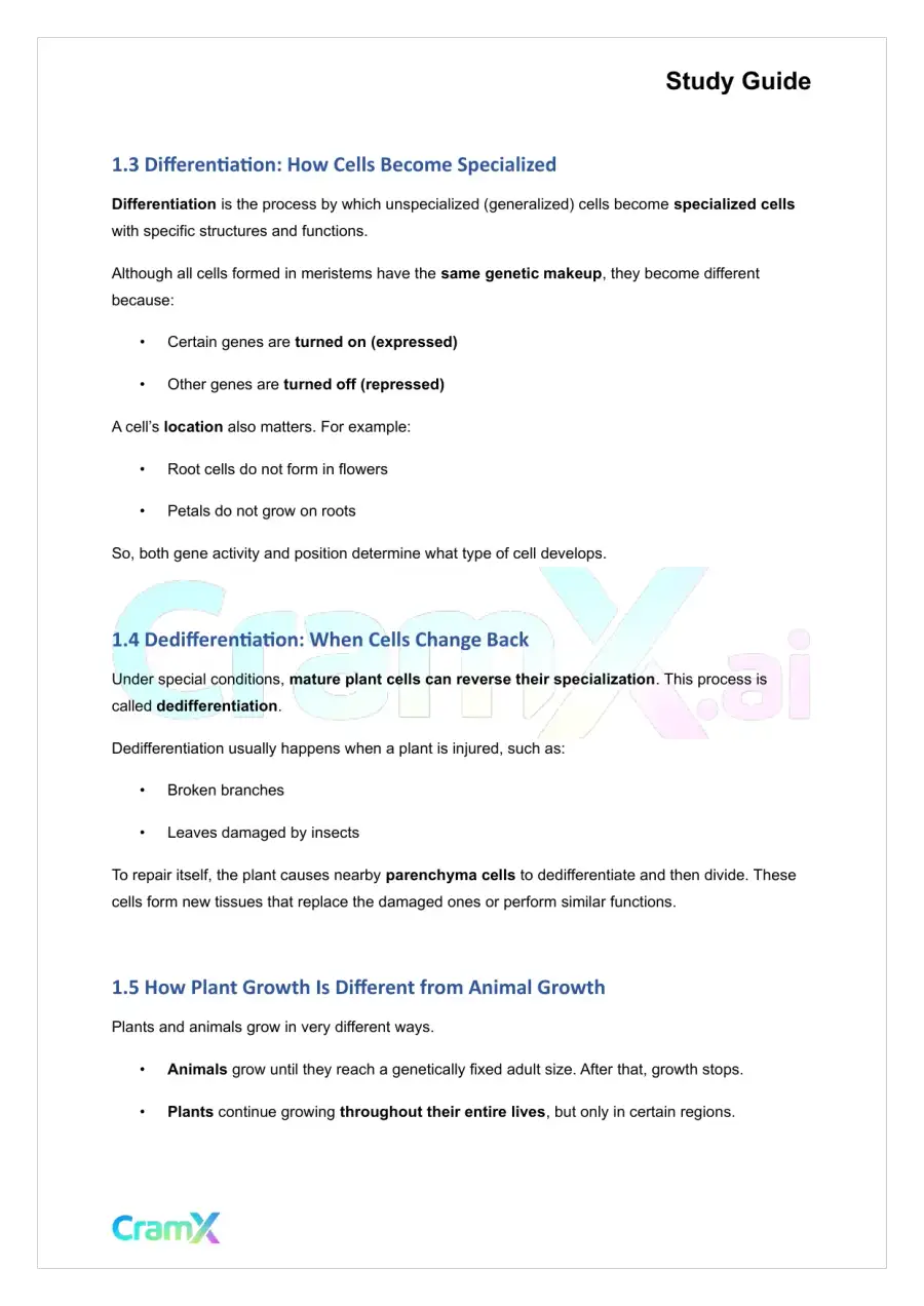 Plant Biology - Tissues, page 2