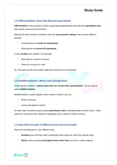 Plant Biology - Tissues - Page 2 preview image
