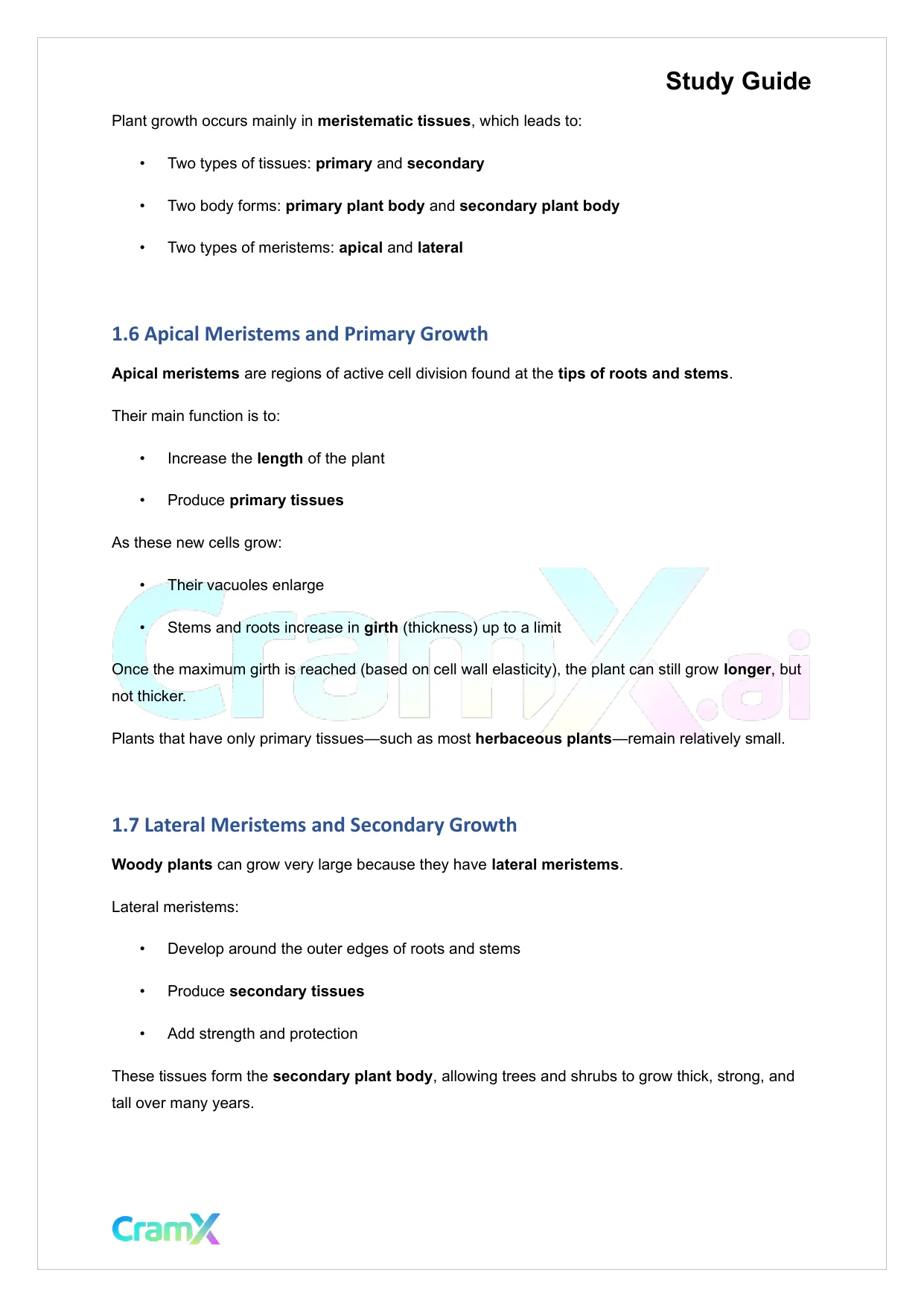Plant Biology - Tissues - Page 3 preview image