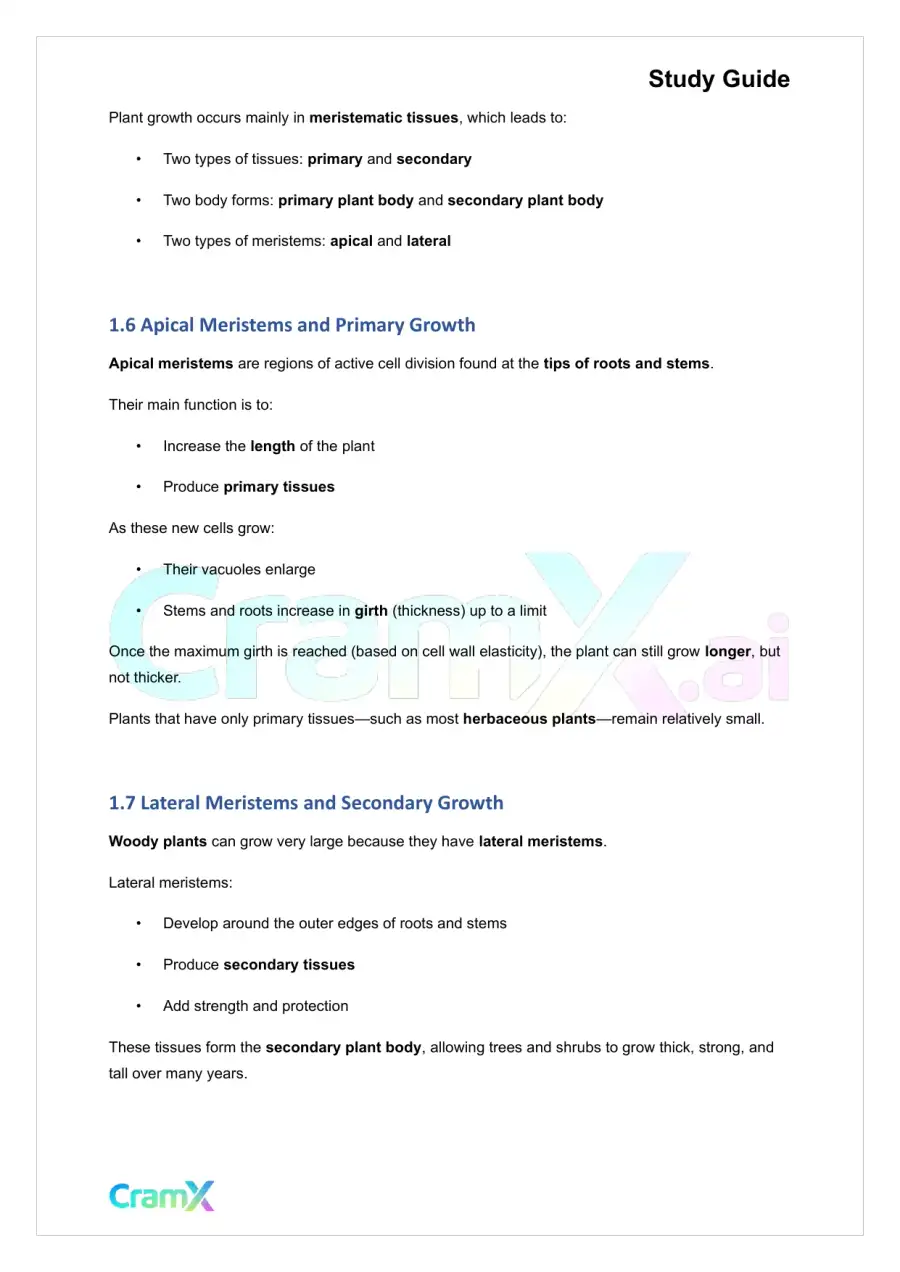 Plant Biology - Tissues, page 3