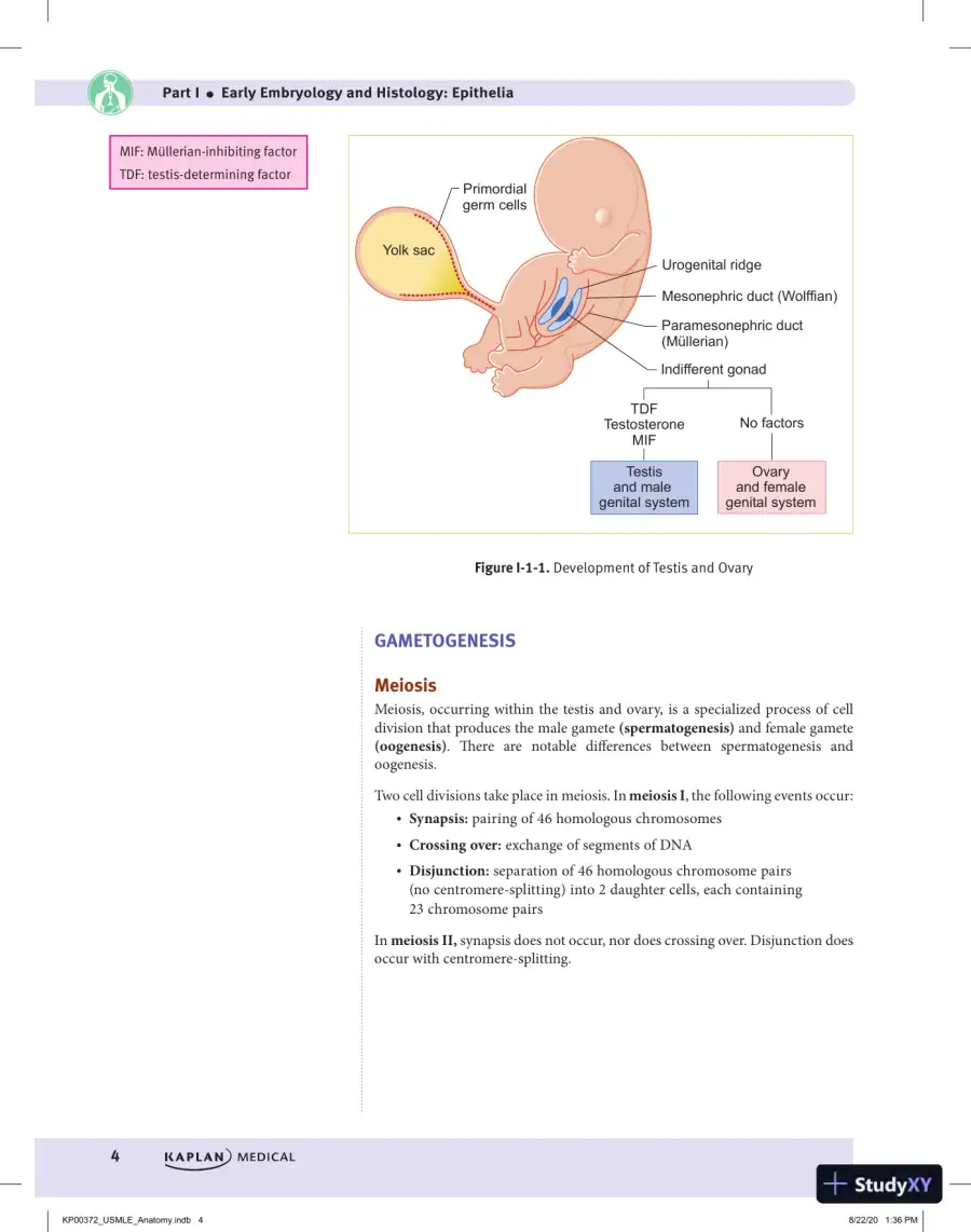 Kaplan Medical USMLE Step 1 Lecture Notes (2021), page 16