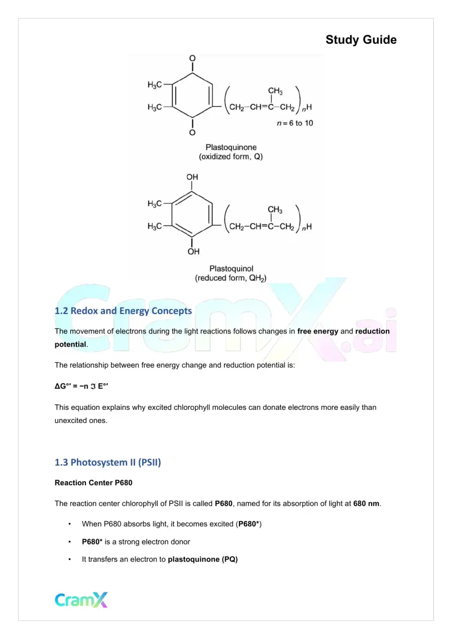 Biochemistry-II - Photosynthesis, page 2