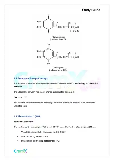 Biochemistry-II - Photosynthesis - Page 2 preview image