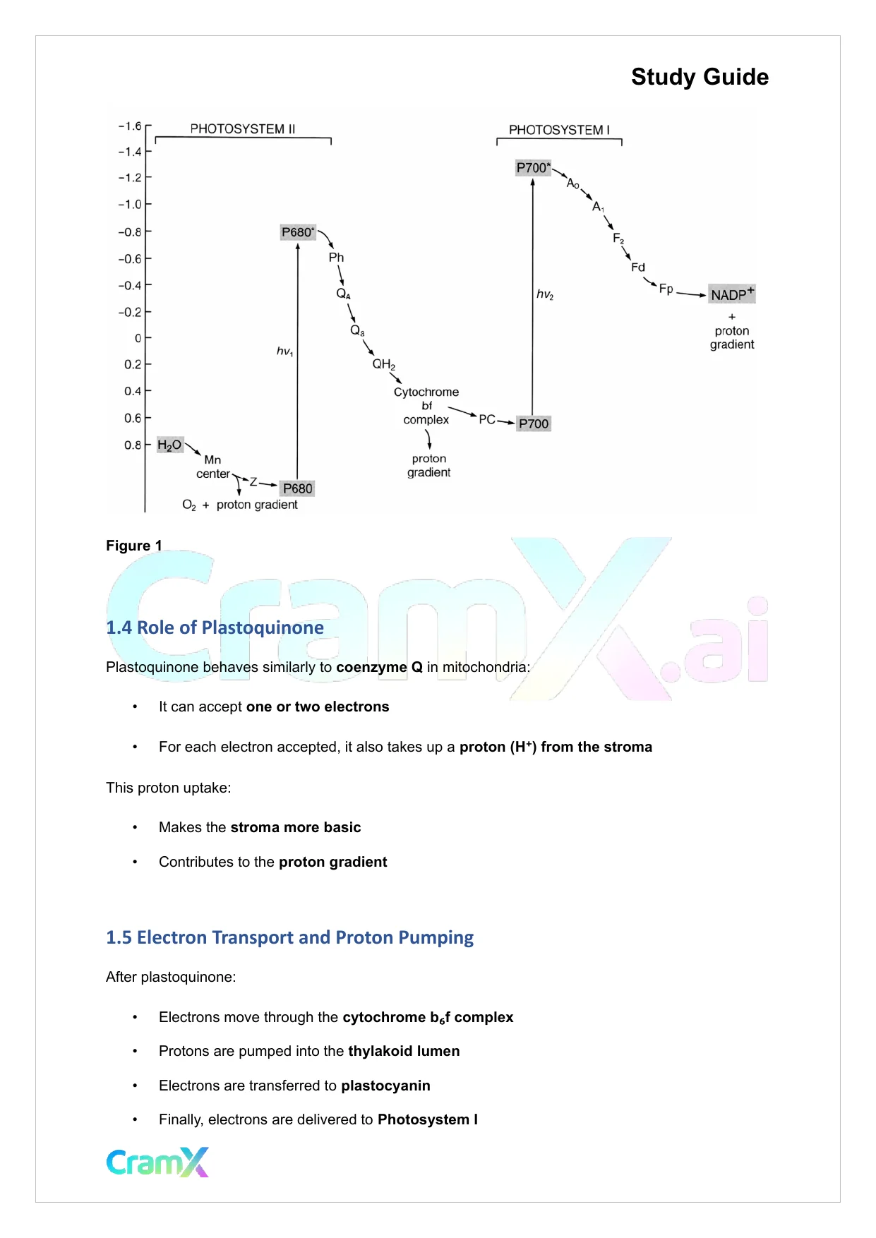 Biochemistry-II - Photosynthesis - Page 3 preview image