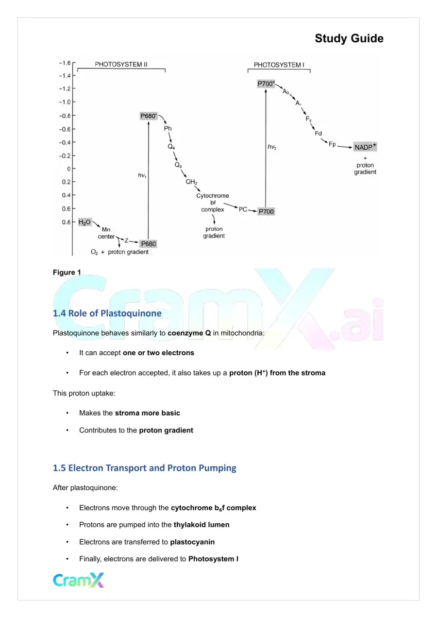 Biochemistry-II - Photosynthesis, page 3