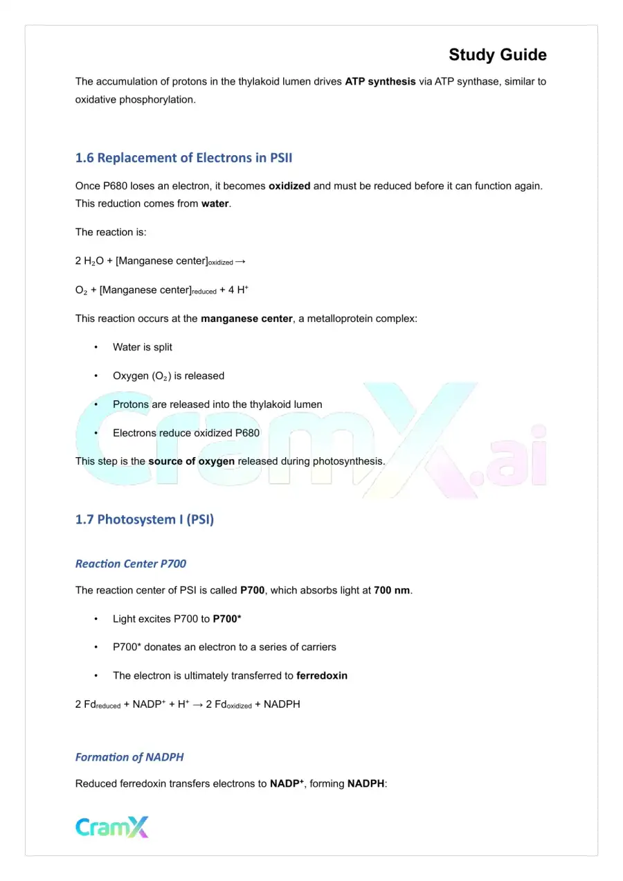 Biochemistry-II - Photosynthesis, page 4