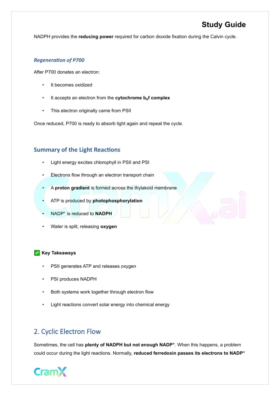 Biochemistry-II - Photosynthesis, page 5
