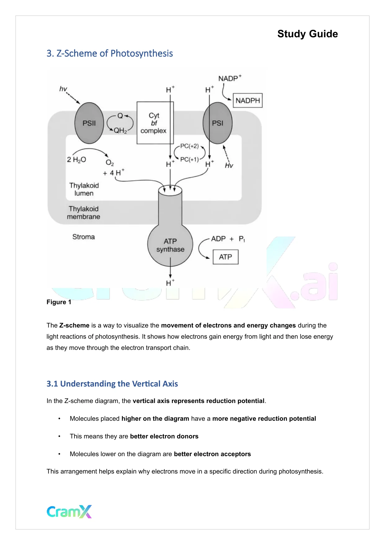 Biochemistry-II - Photosynthesis - Page 7 preview image