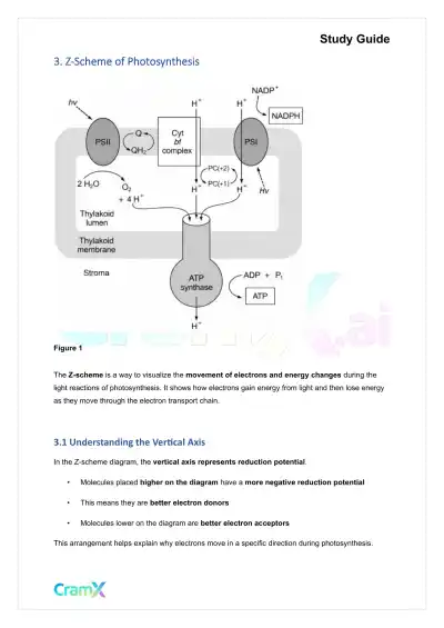 Biochemistry-II - Photosynthesis - Page 7 preview image