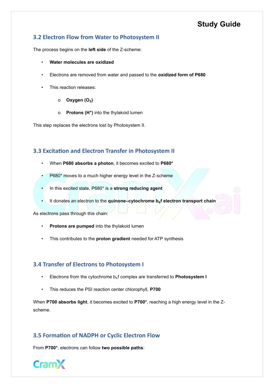 Biochemistry-II - Photosynthesis, page 8