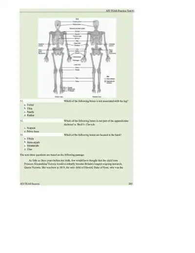 ATI TEAS 7 Comprehensive Practice Exam - Page 13 preview image
