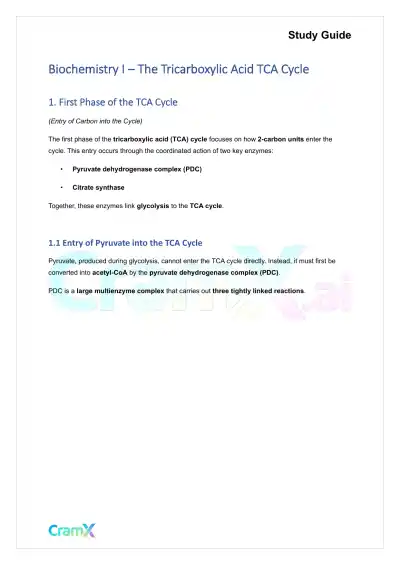 Biochemistry I - The Tricarboxylic Acid TCA Cycle - Page 1 preview image
