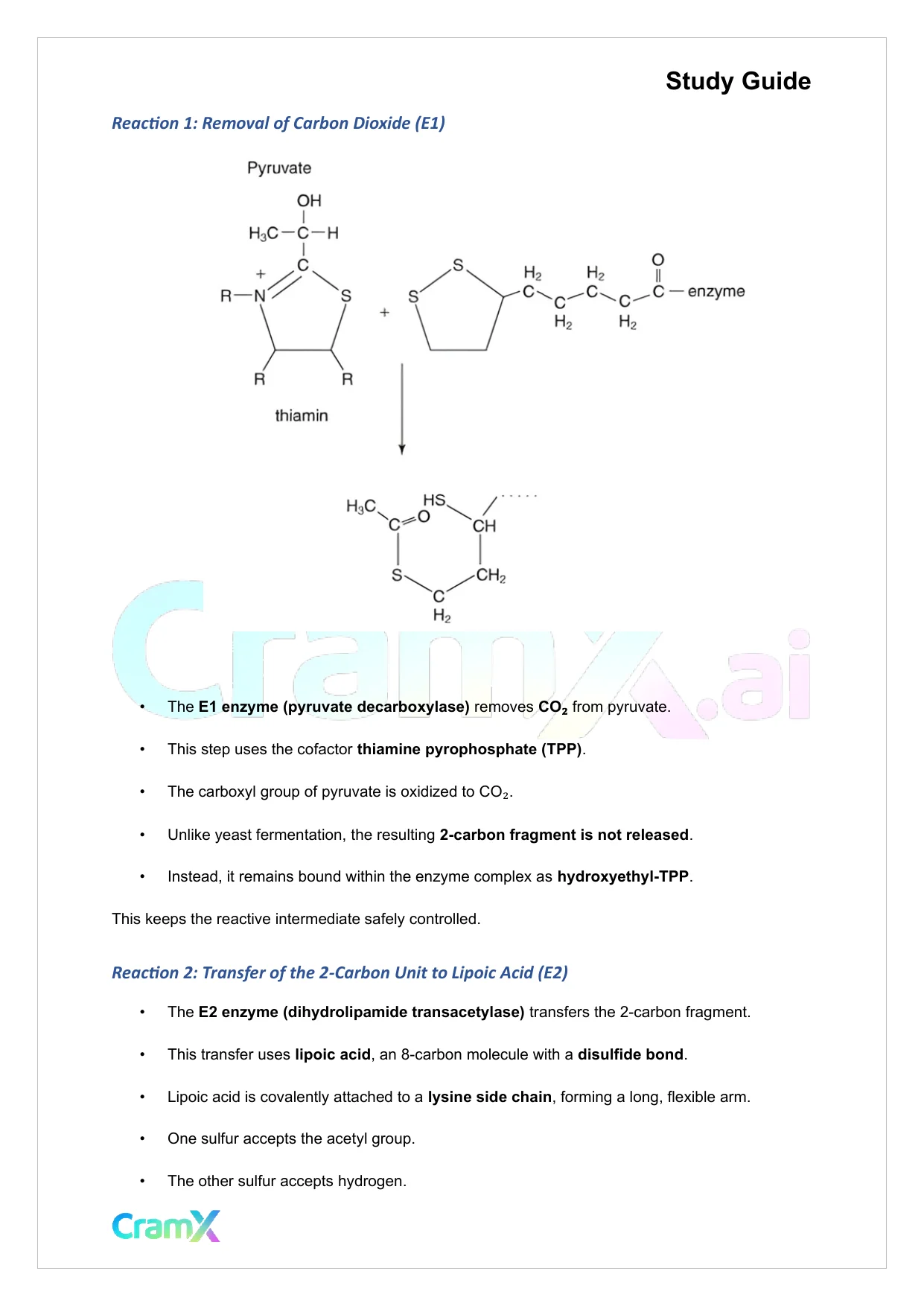 Biochemistry I - The Tricarboxylic Acid TCA Cycle - Page 2 preview image