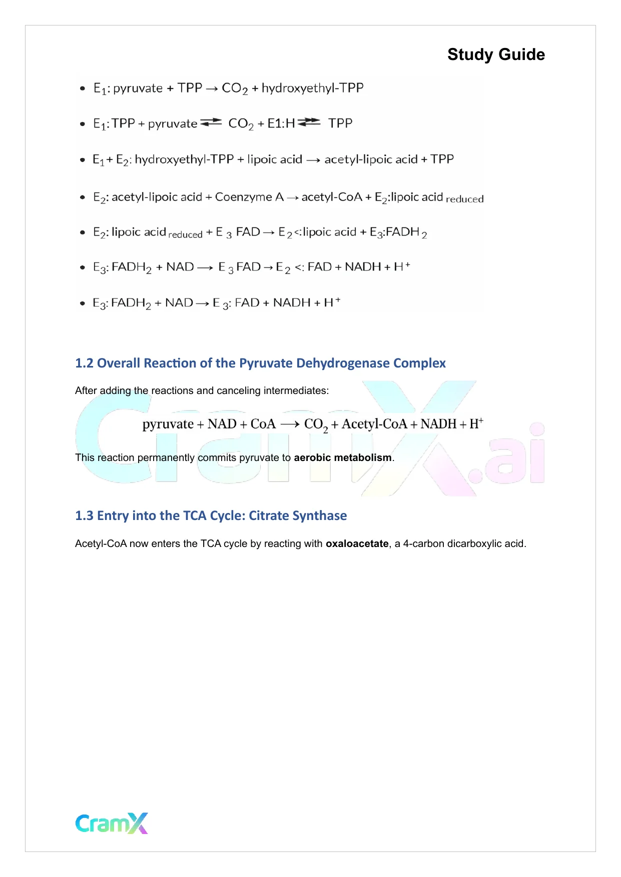 Biochemistry I - The Tricarboxylic Acid TCA Cycle - Page 5 preview image