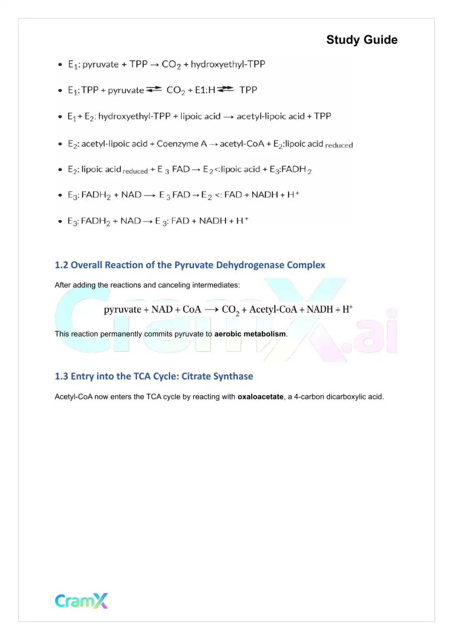 Biochemistry I - The Tricarboxylic Acid TCA Cycle, page 5