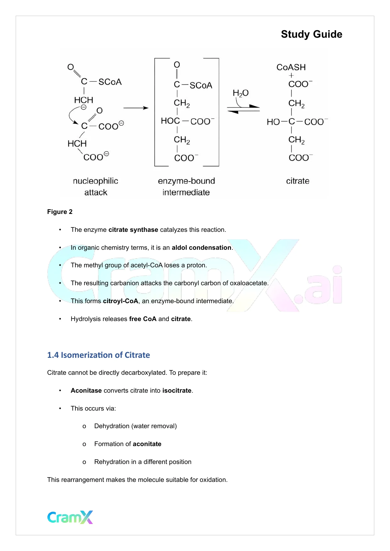 Biochemistry I - The Tricarboxylic Acid TCA Cycle - Page 6 preview image