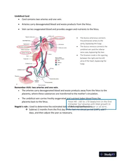 ATI RN Maternity Proctored Exam With NGN Version 5 With Answers (174 Solved Questions) - Page 5 preview image