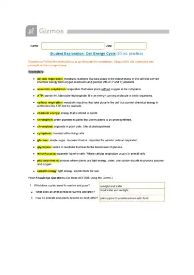 Cami Salazar Correa Cell Energy Cycle Gizmo - Page 1 preview image