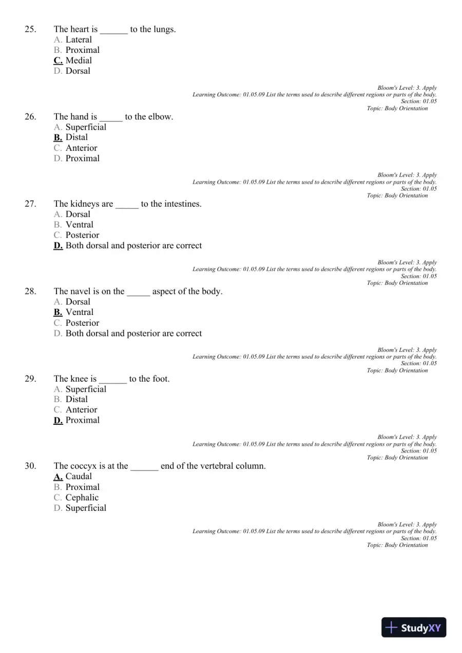Seeley's Principles of Anatomy and Physiology 2nd Edition Test Bank, page 13